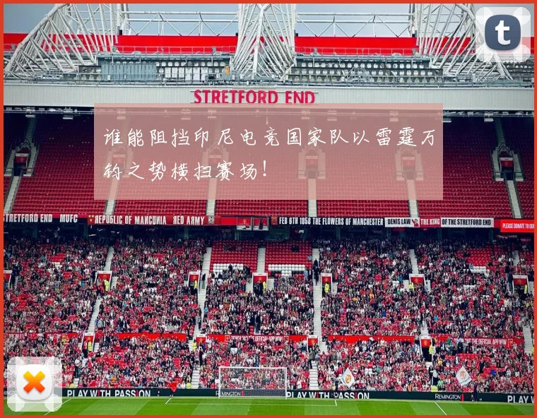 谁能阻挡印尼电竞国家队以雷霆万钧之势横扫赛场！